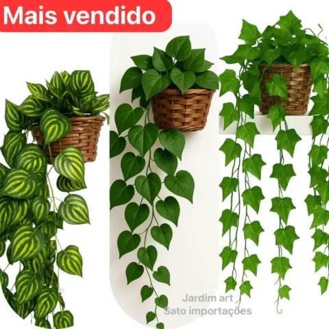 Arranjo com 3 Trepadeiras de Hera e Vaso
